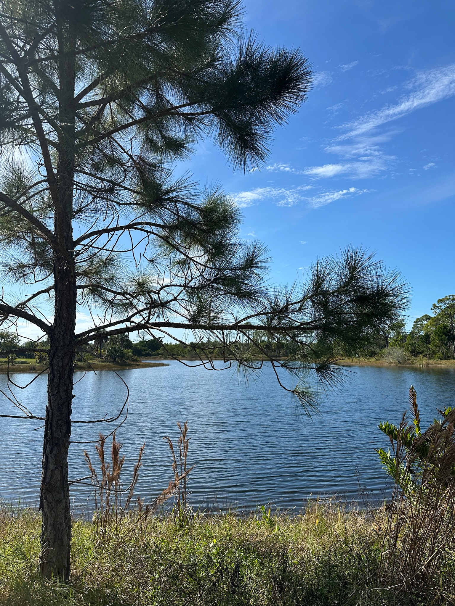 Lakeside walk